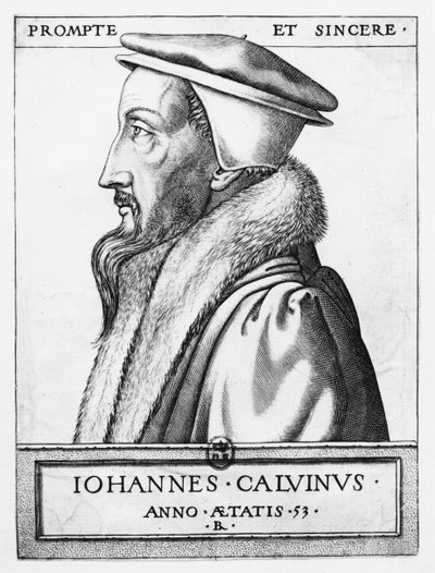 Portrait of John Calvin Aged 53, 1564 by French School